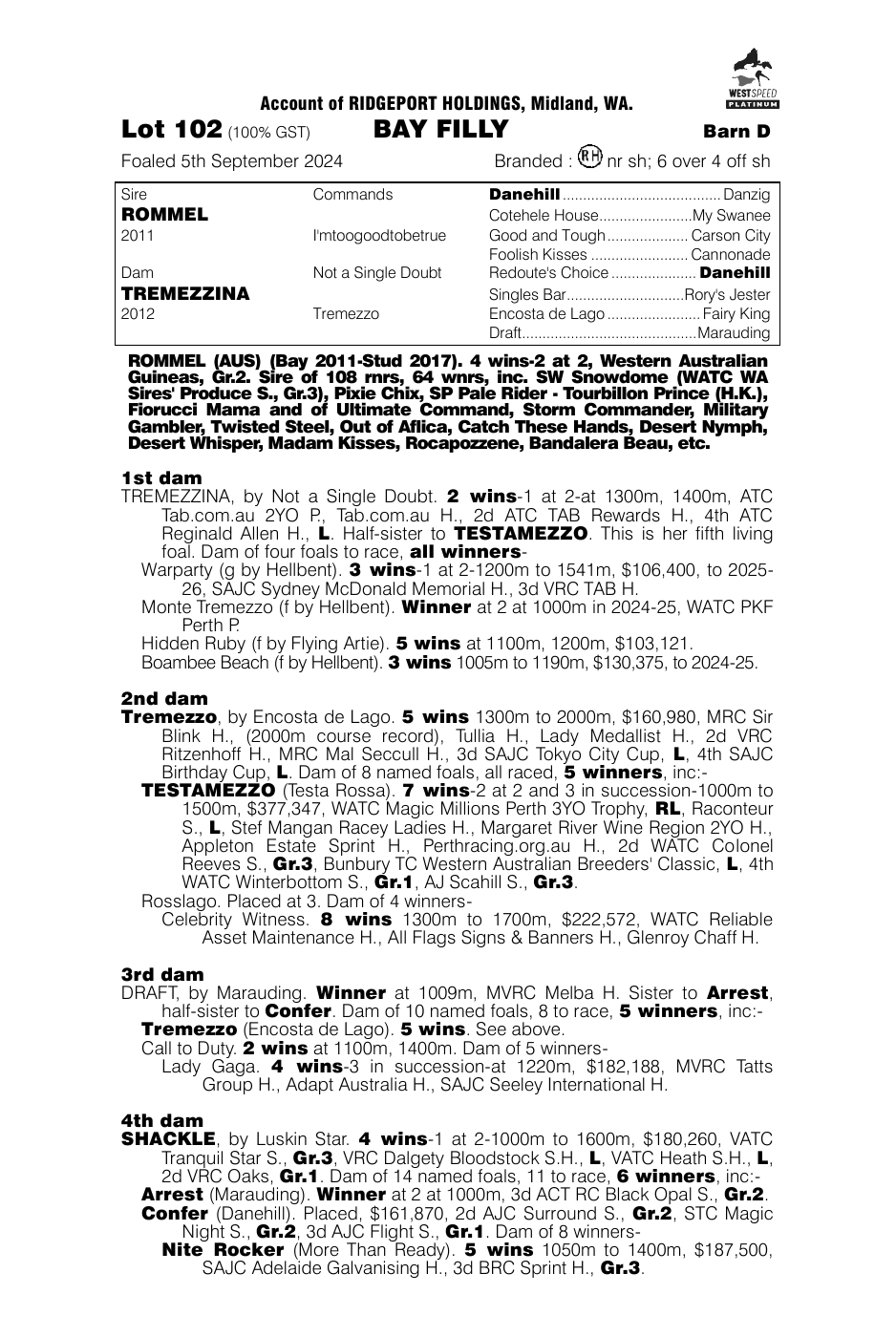 Pedigree - Lot 102
