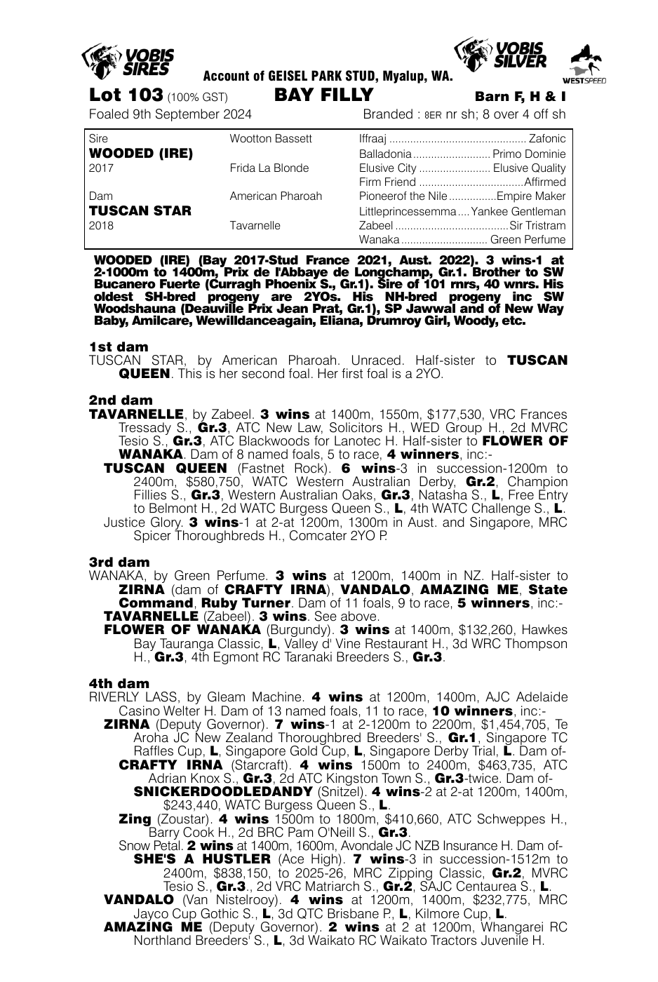 Pedigree - Lot 103