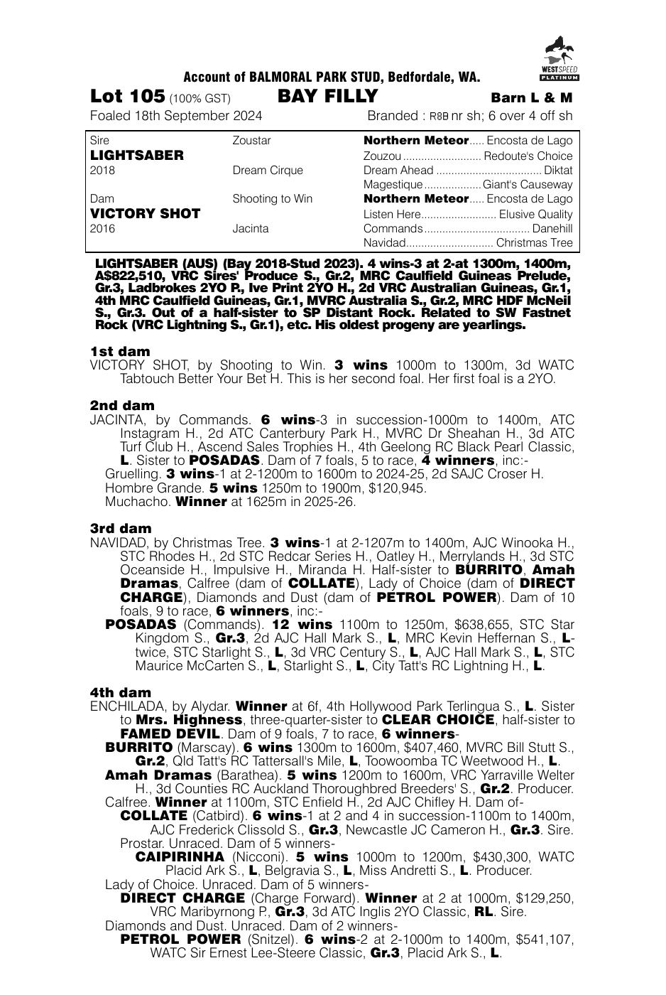 Pedigree - Lot 105