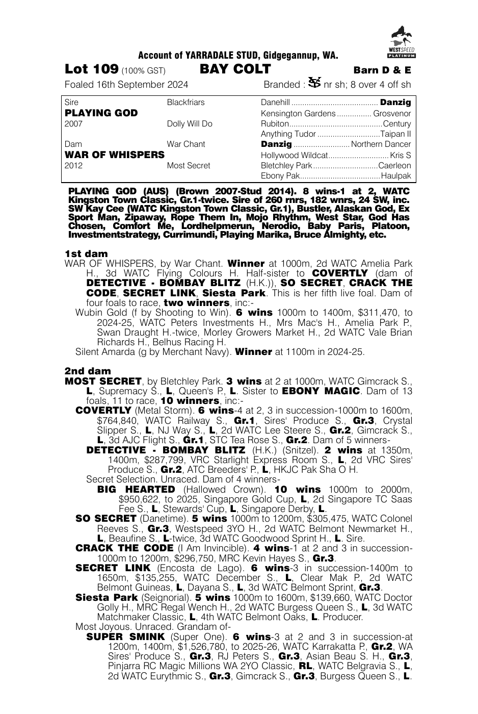 Pedigree - Lot 109