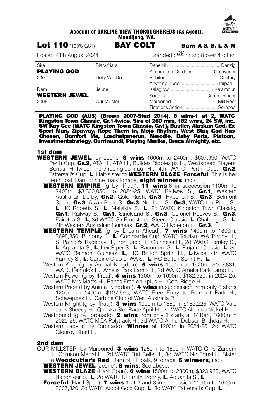 Pedigree - Lot 110
