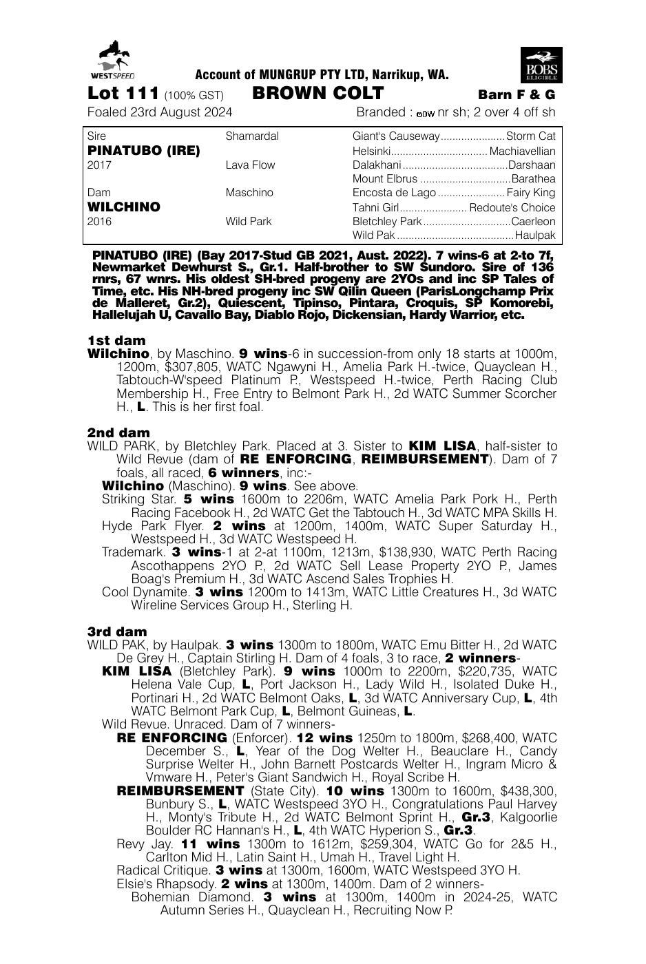 Pedigree - Lot 111