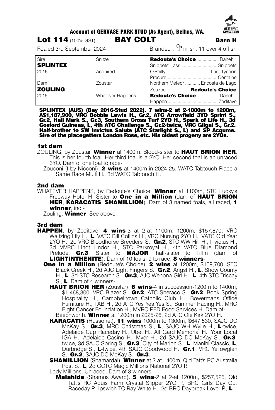 Pedigree - Lot 114
