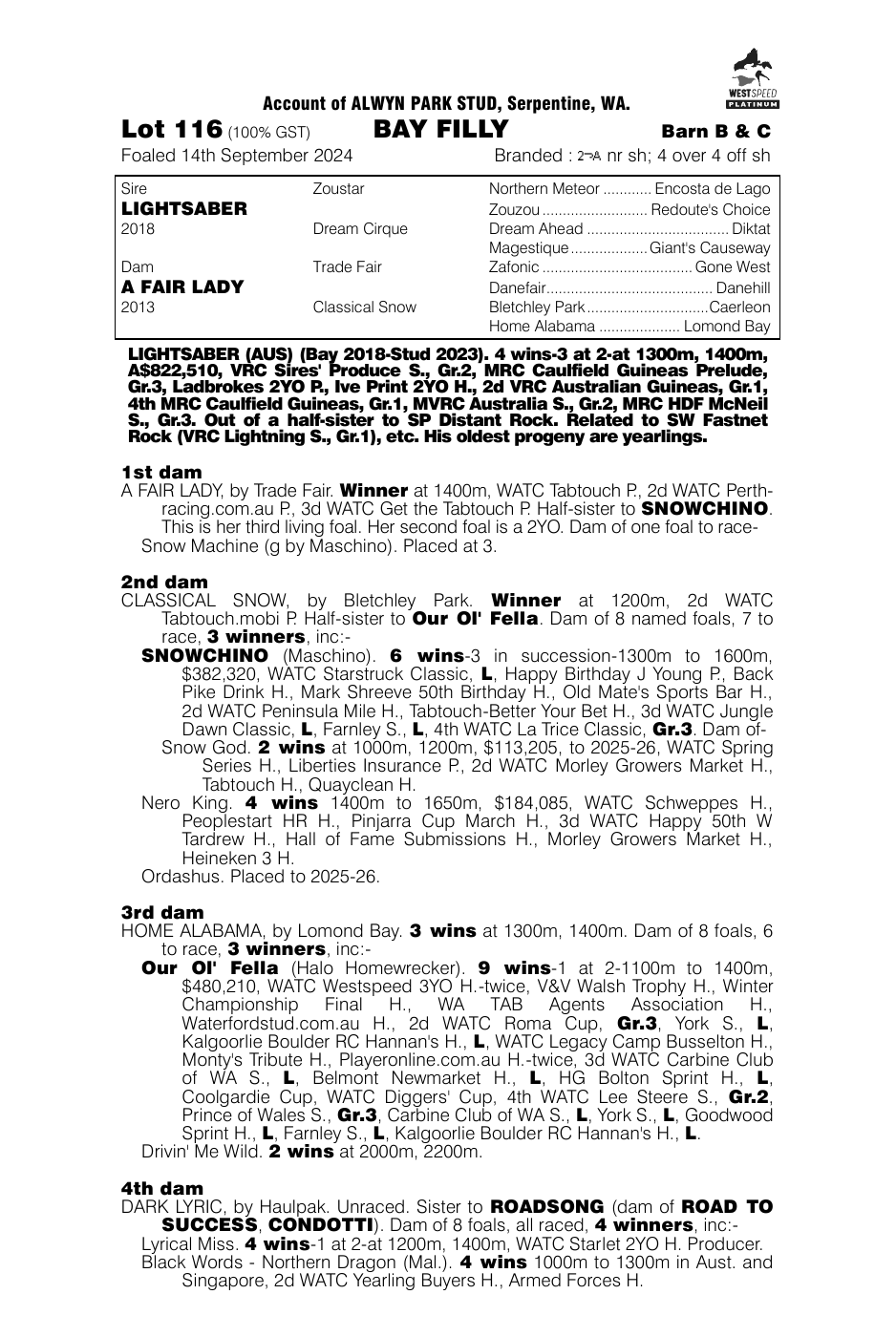 Pedigree - Lot 116