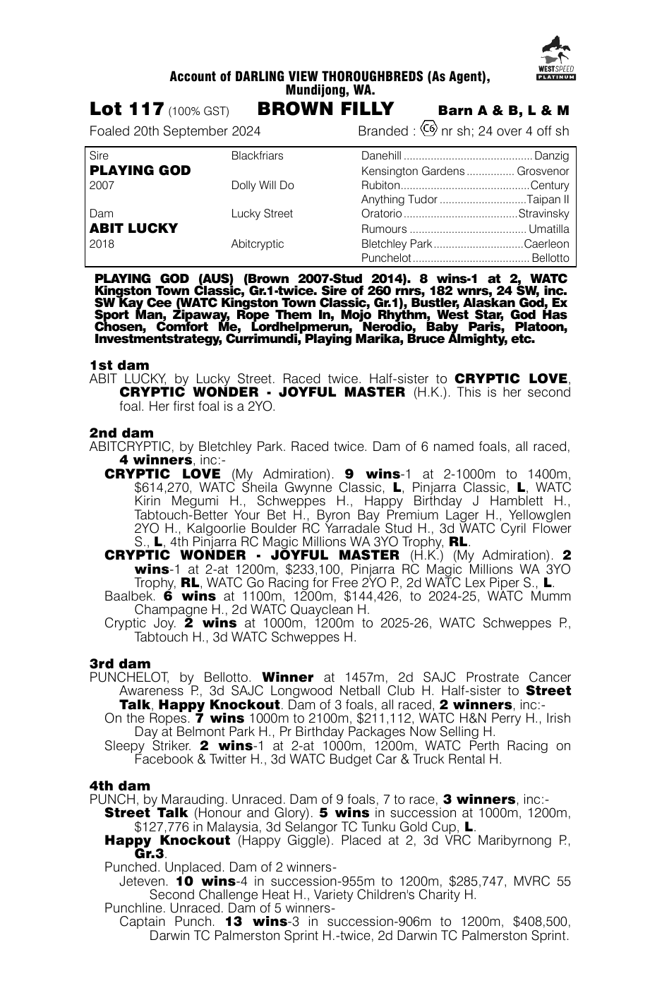 Pedigree - Lot 117