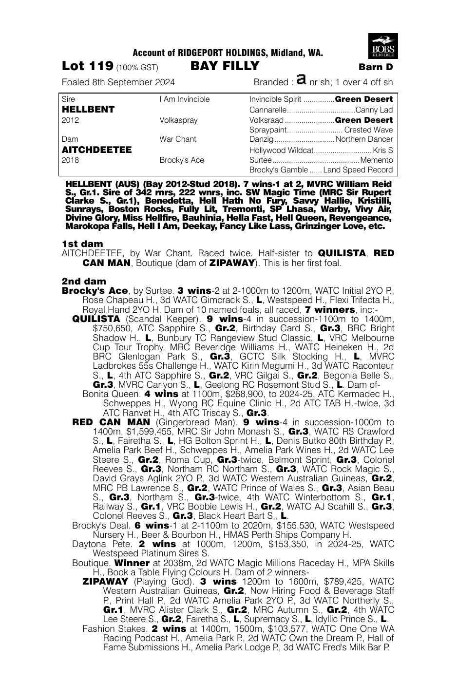 Pedigree - Lot 119