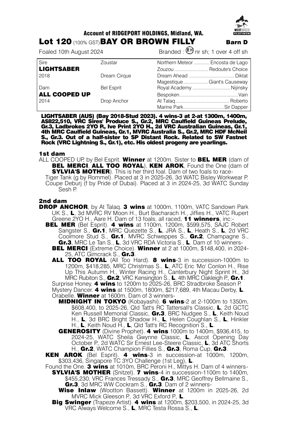 Pedigree - Lot 120