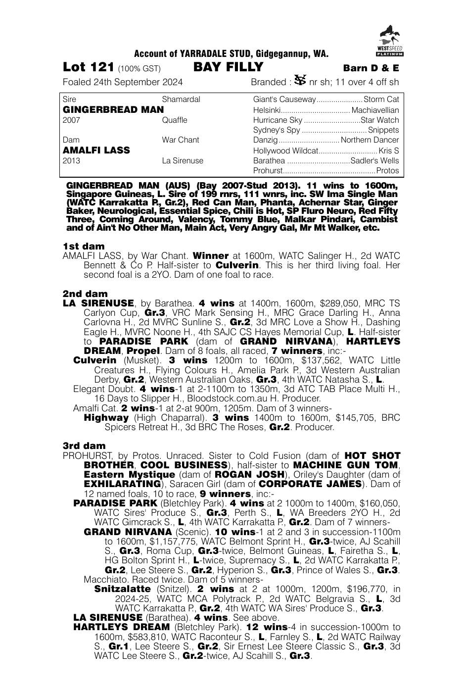 Pedigree - Lot 121