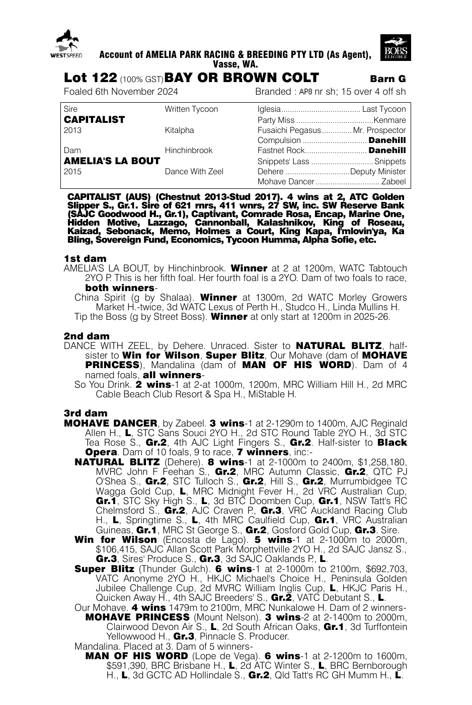 Pedigree - Lot 122