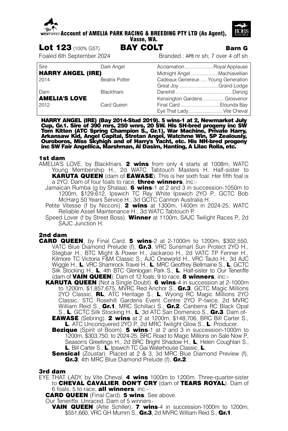 Pedigree - Lot 123