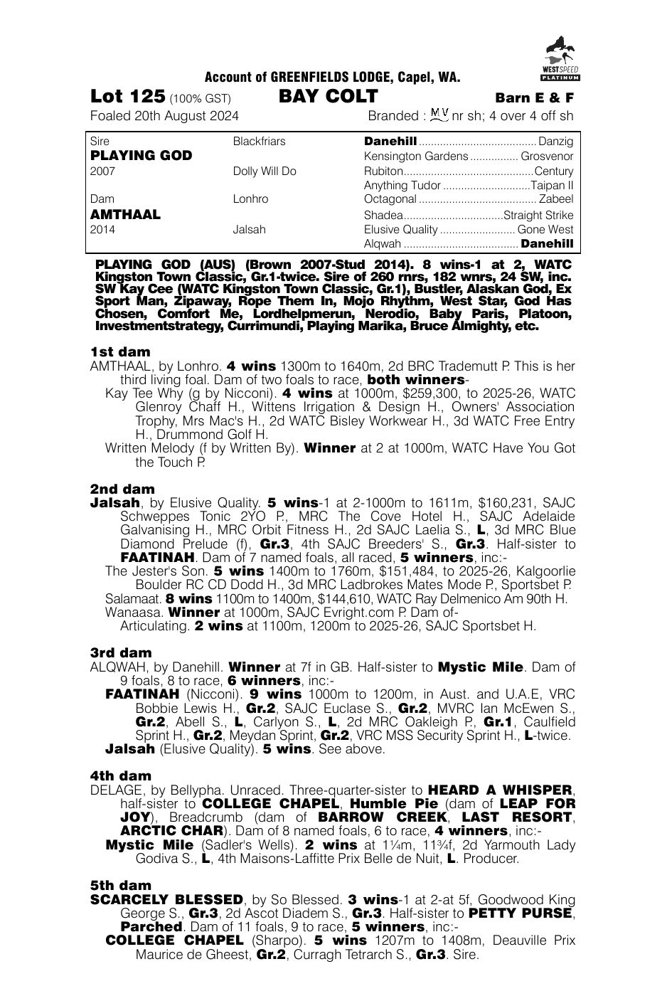 Pedigree - Lot 125