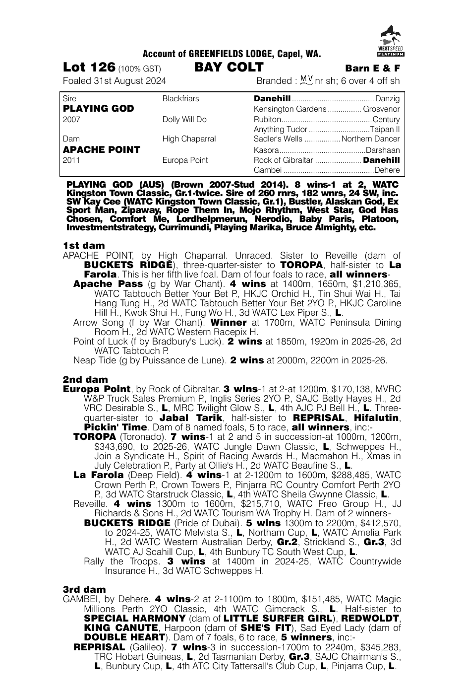 Pedigree - Lot 126