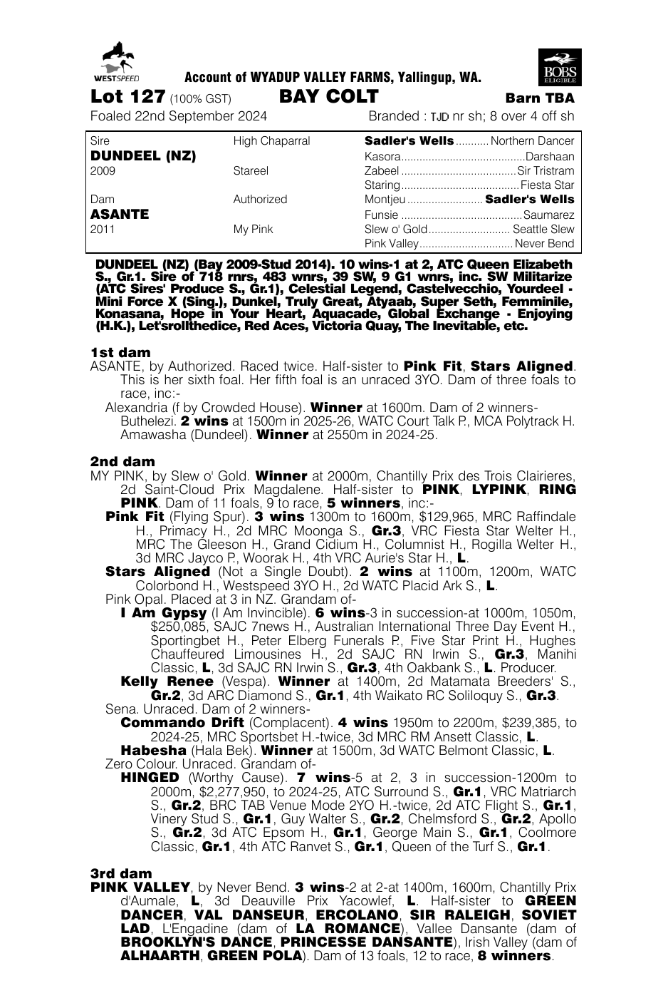 Pedigree - Lot 127