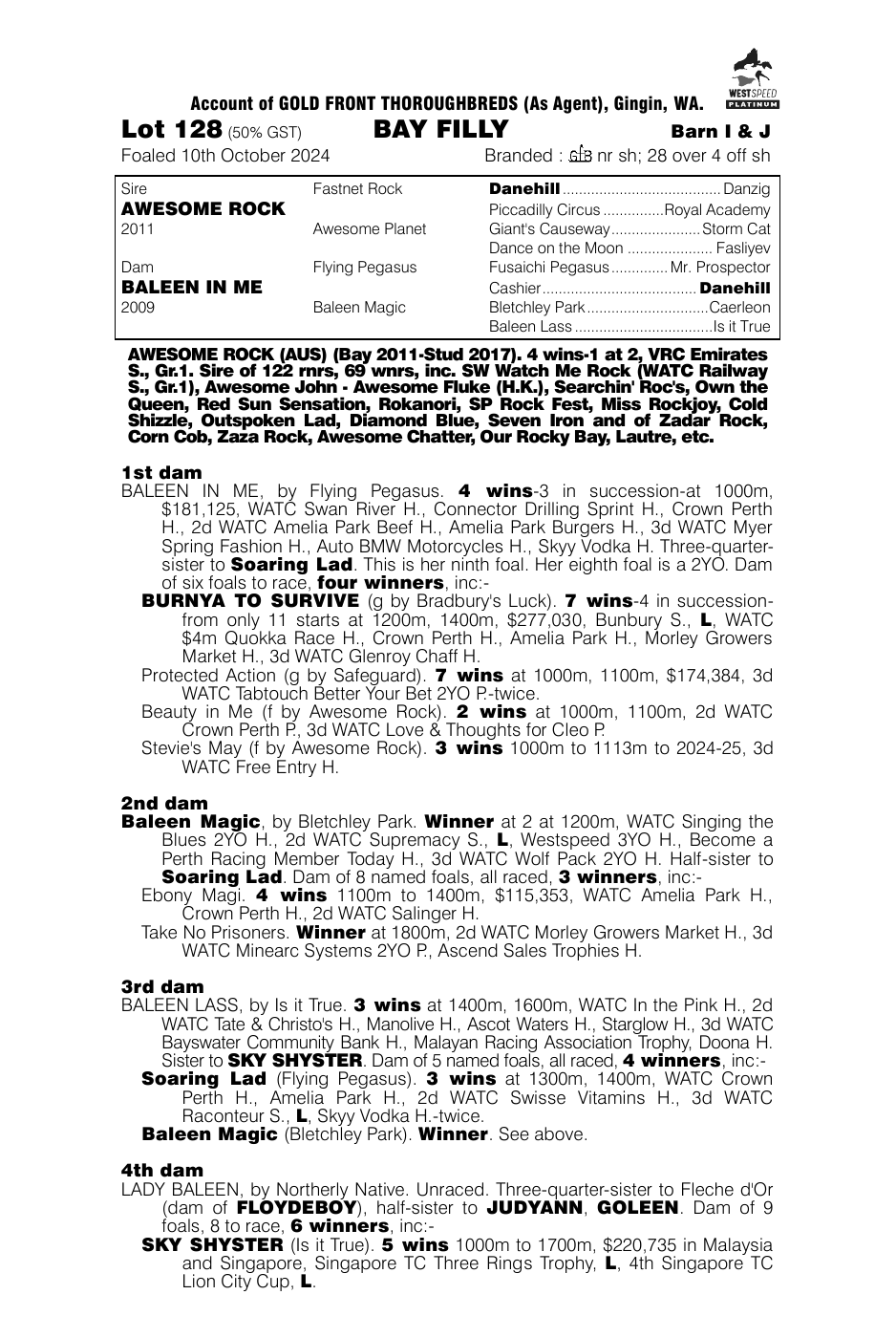Pedigree - Lot 128