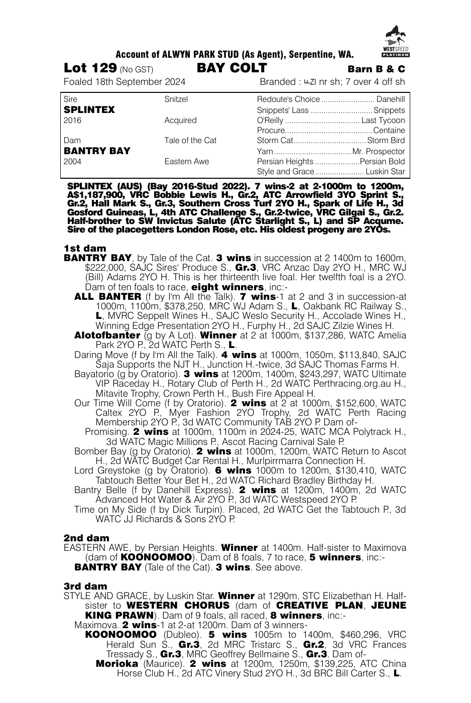 Pedigree - Lot 129