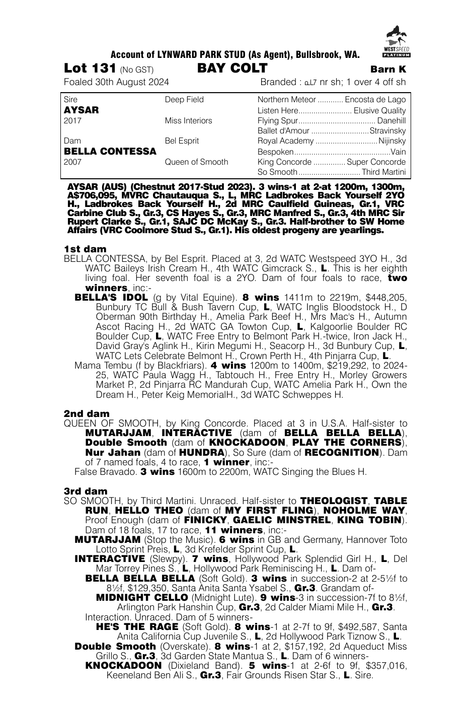 Pedigree - Lot 131