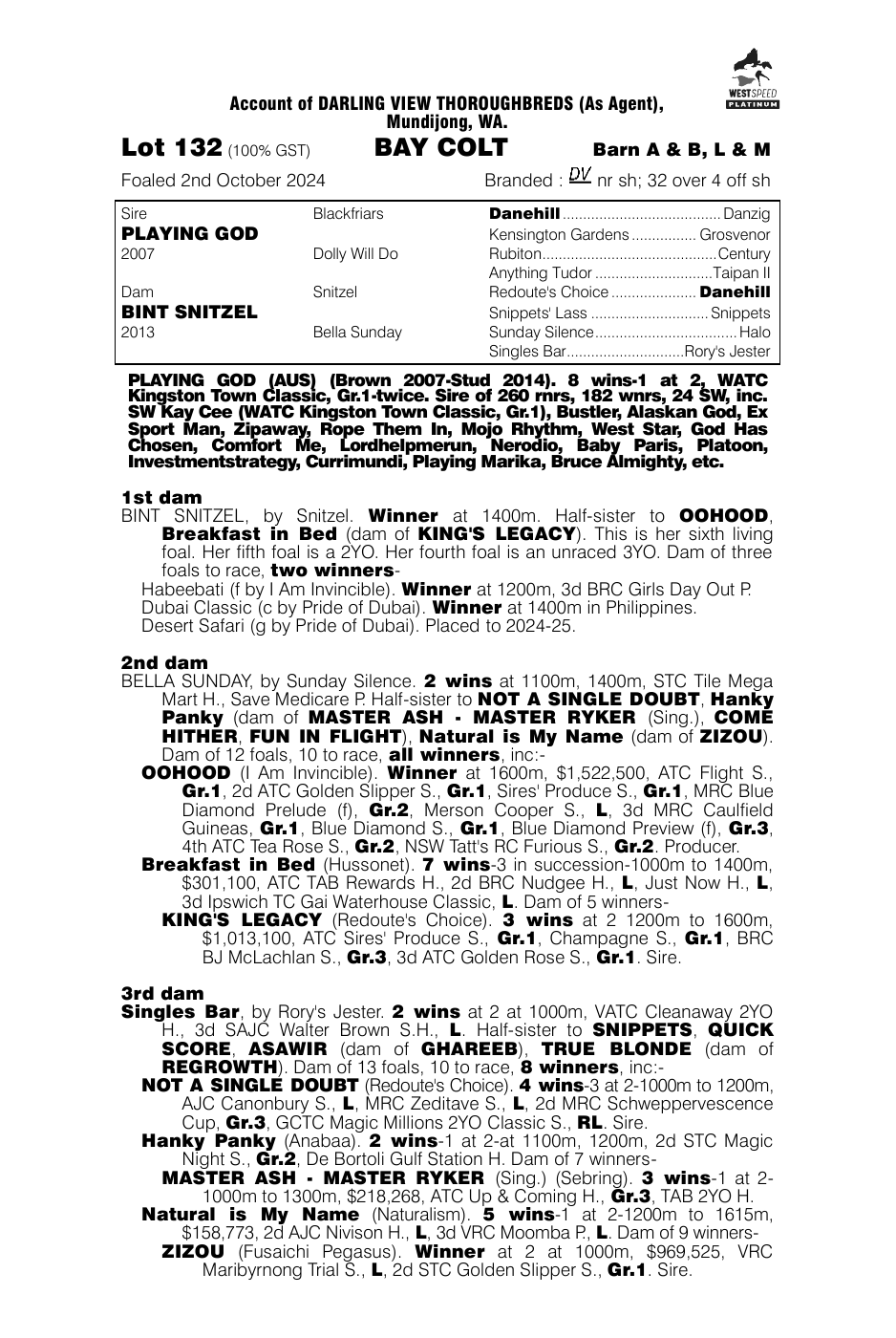 Pedigree - Lot 132