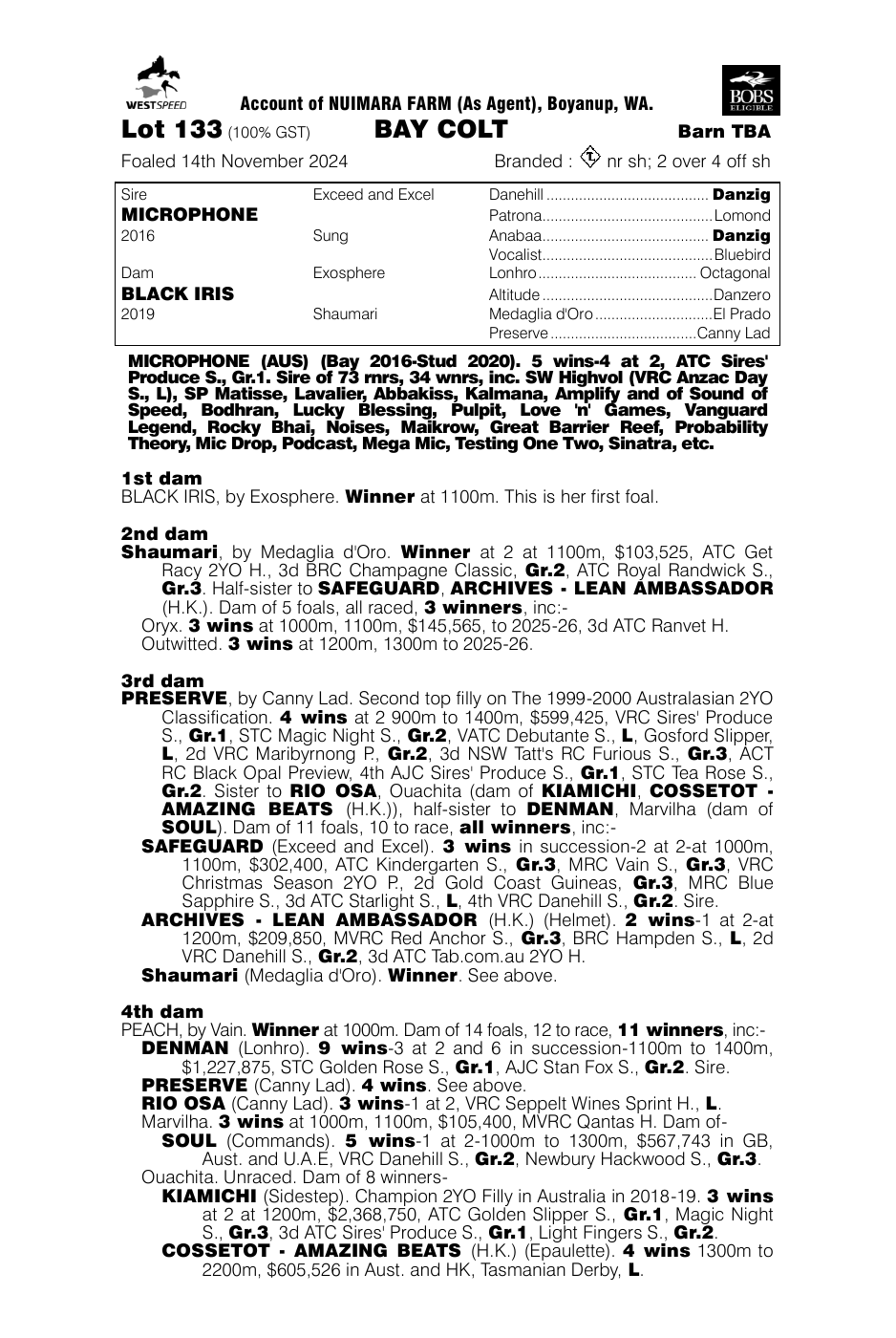 Pedigree - Lot 133