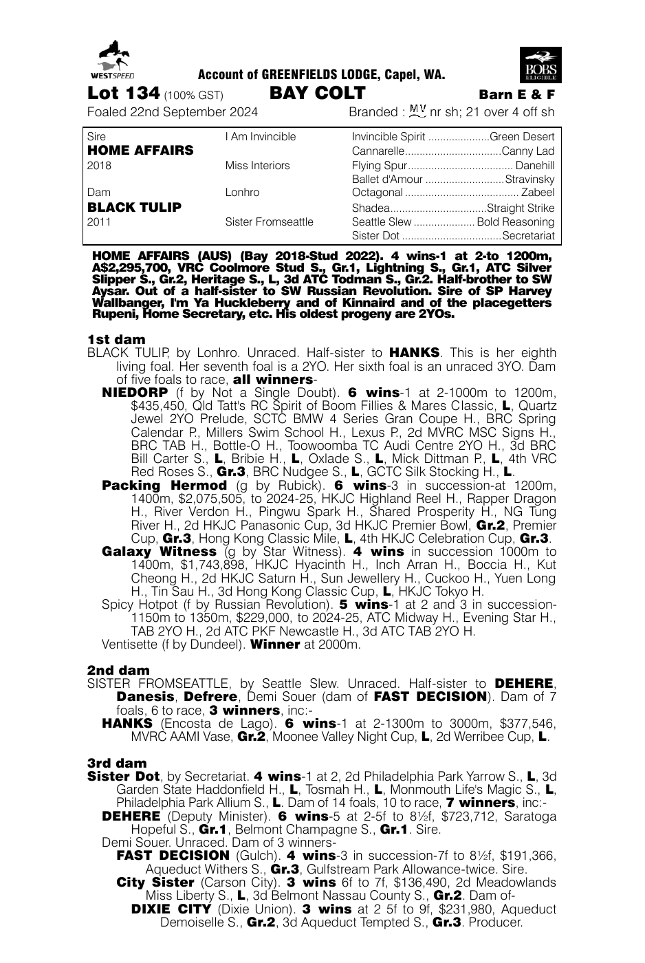 Pedigree - Lot 134