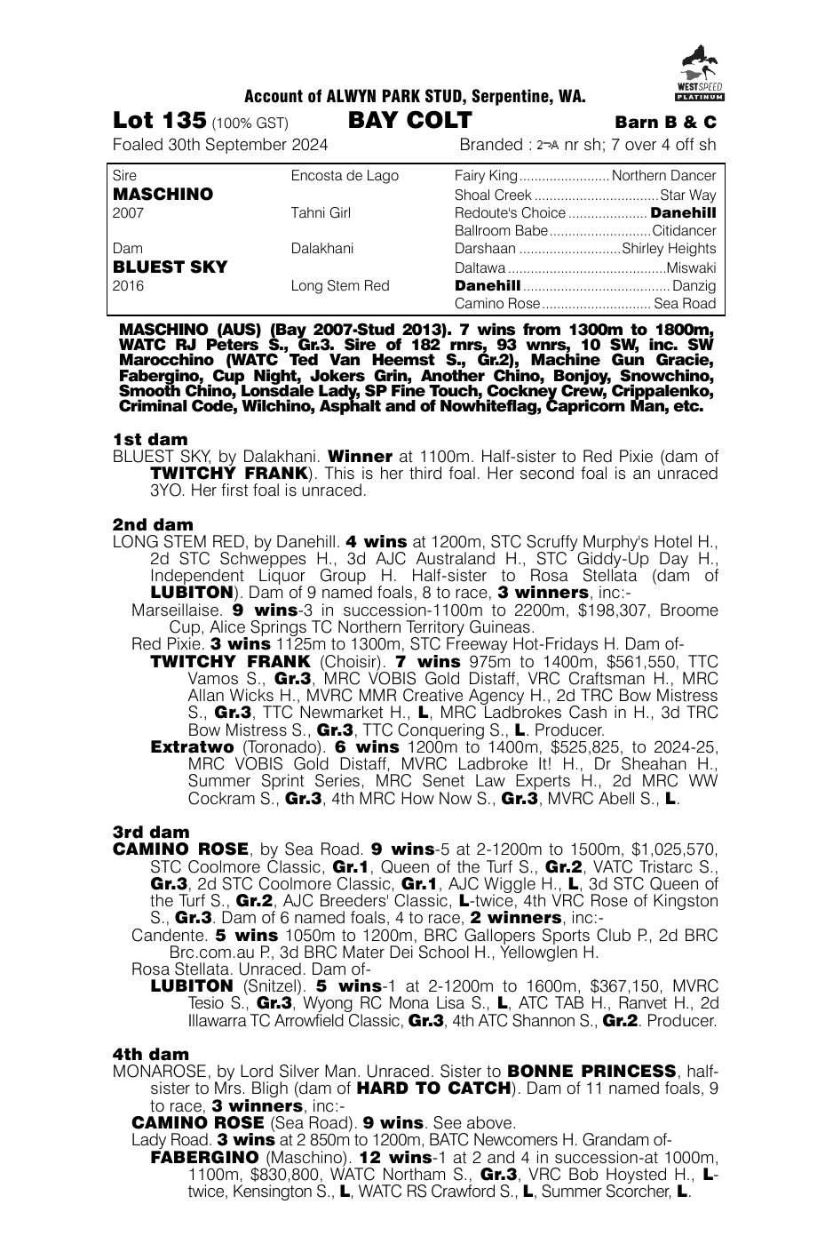 Pedigree - Lot 135