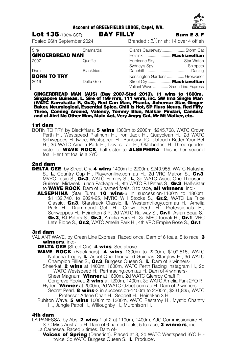 Pedigree - Lot 136