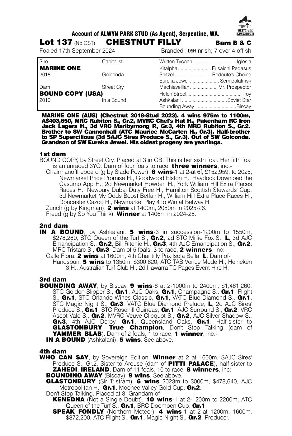 Pedigree - Lot 137