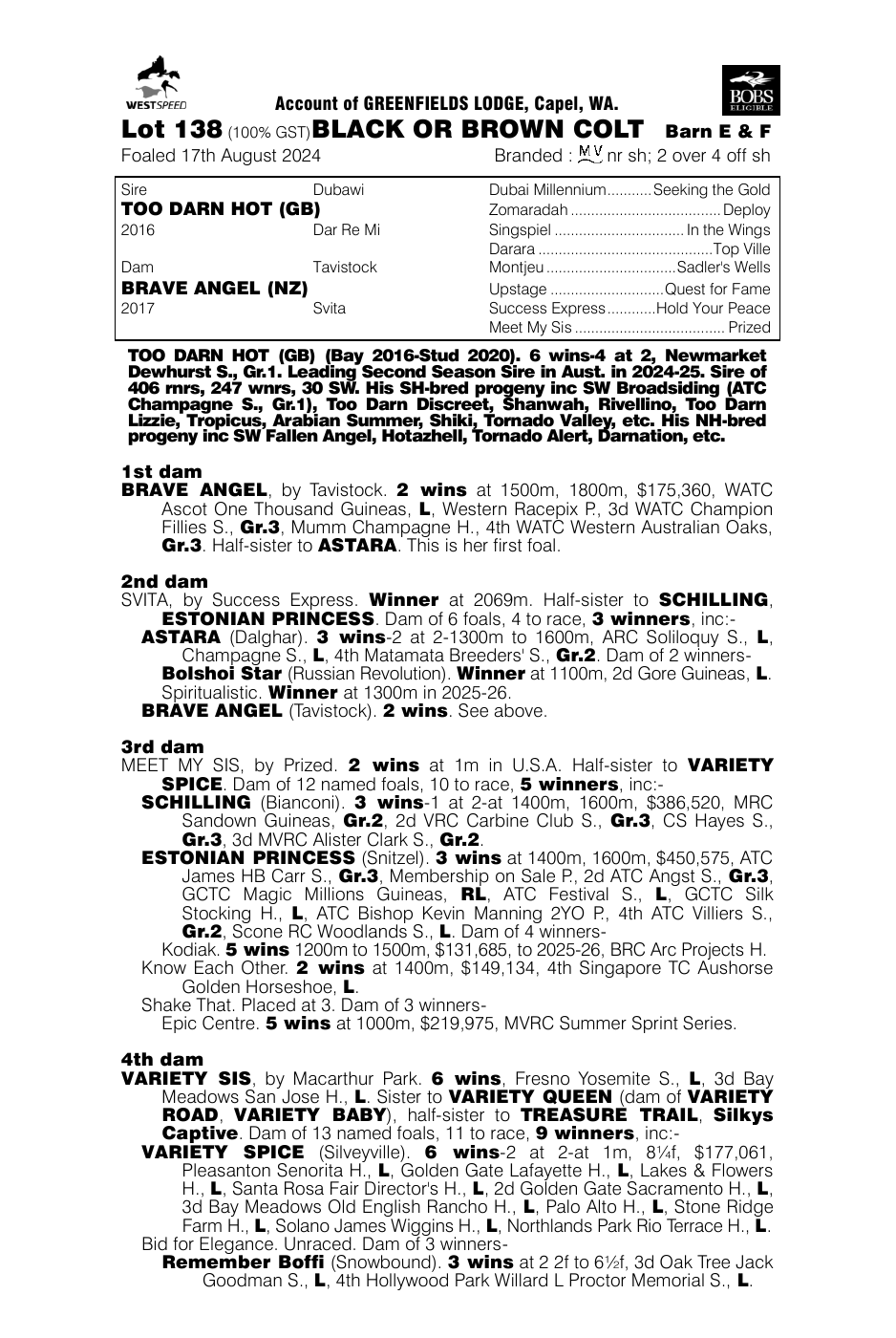 Pedigree - Lot 138
