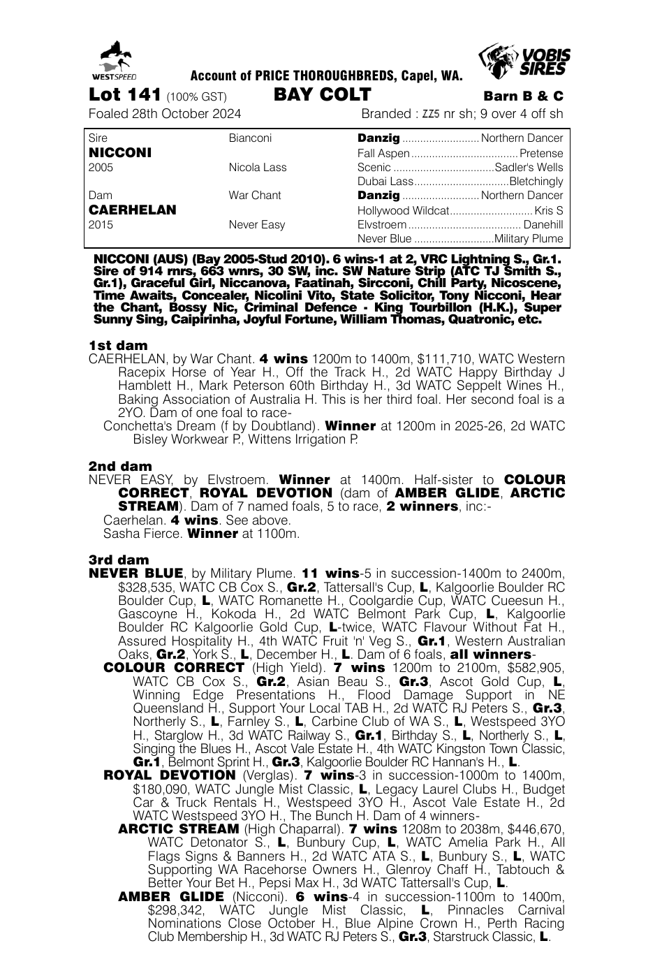 Pedigree - Lot 141