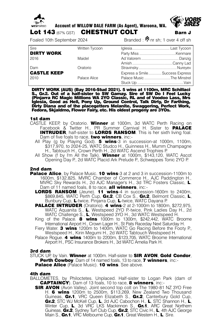 Pedigree - Lot 143