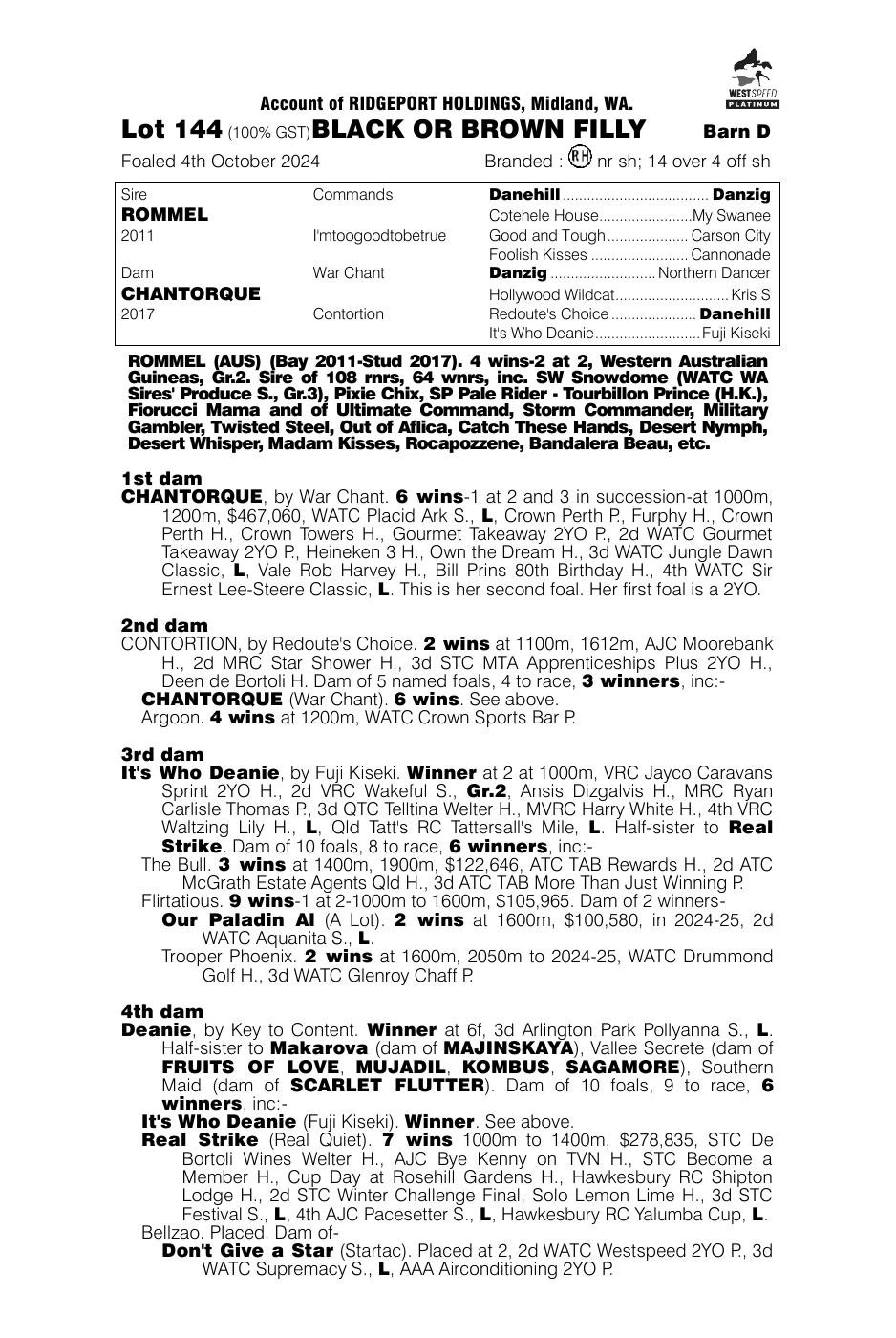 Pedigree - Lot 144