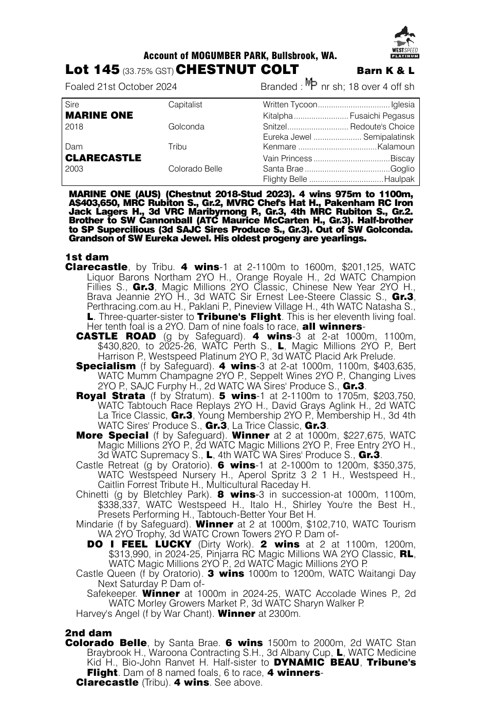 Pedigree - Lot 145