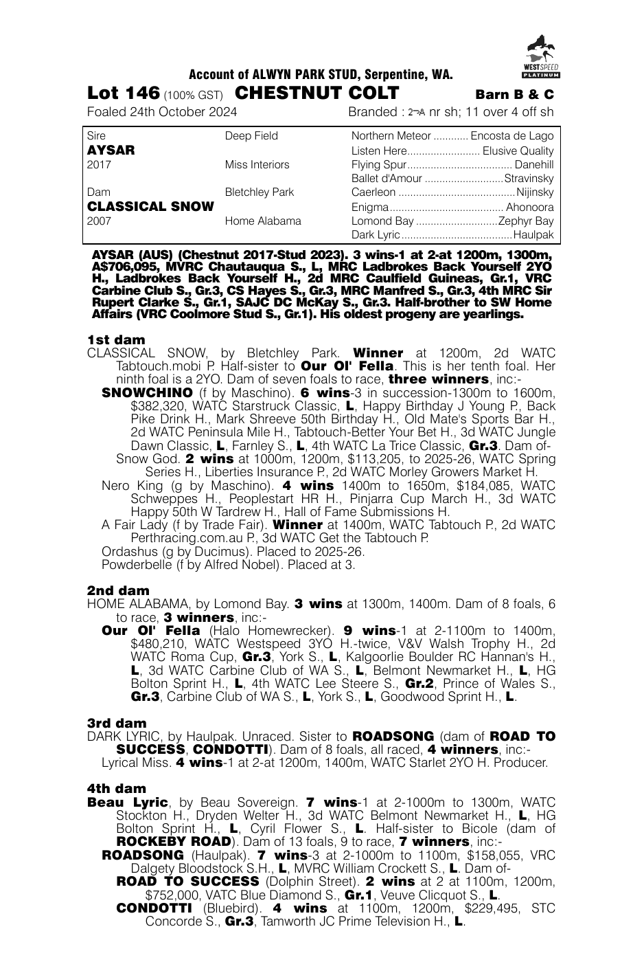 Pedigree - Lot 146