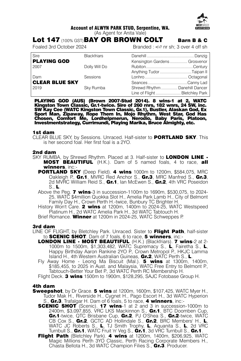 Pedigree - Lot 147