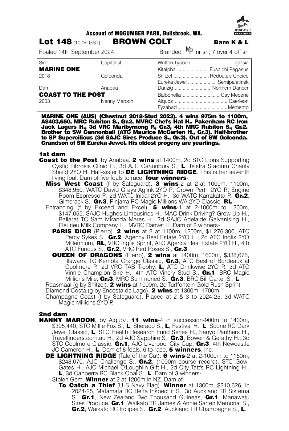 Pedigree - Lot 148