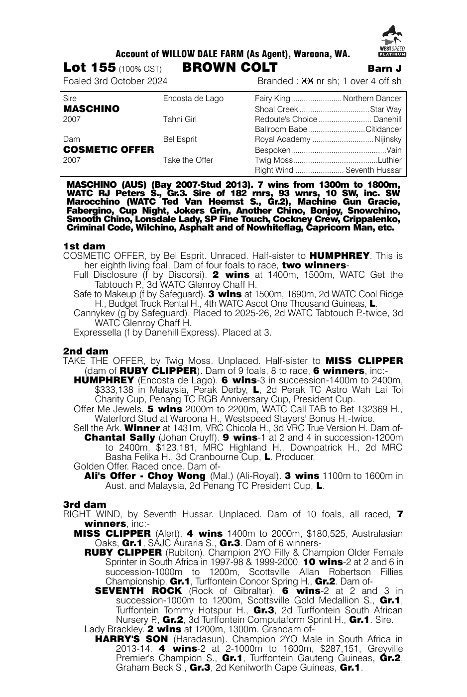 Pedigree - Lot 155