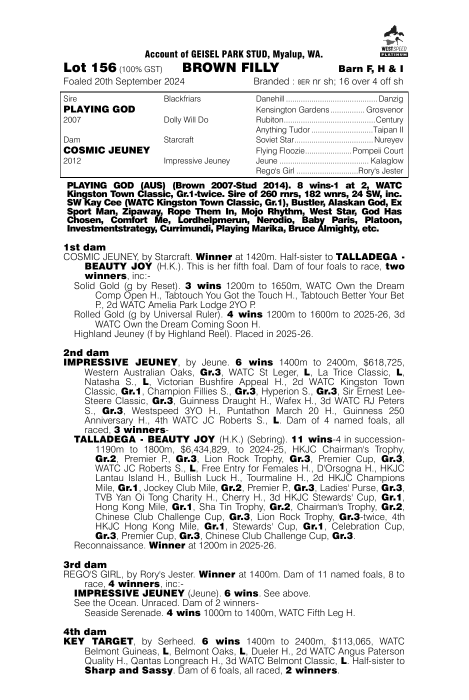 Pedigree - Lot 156
