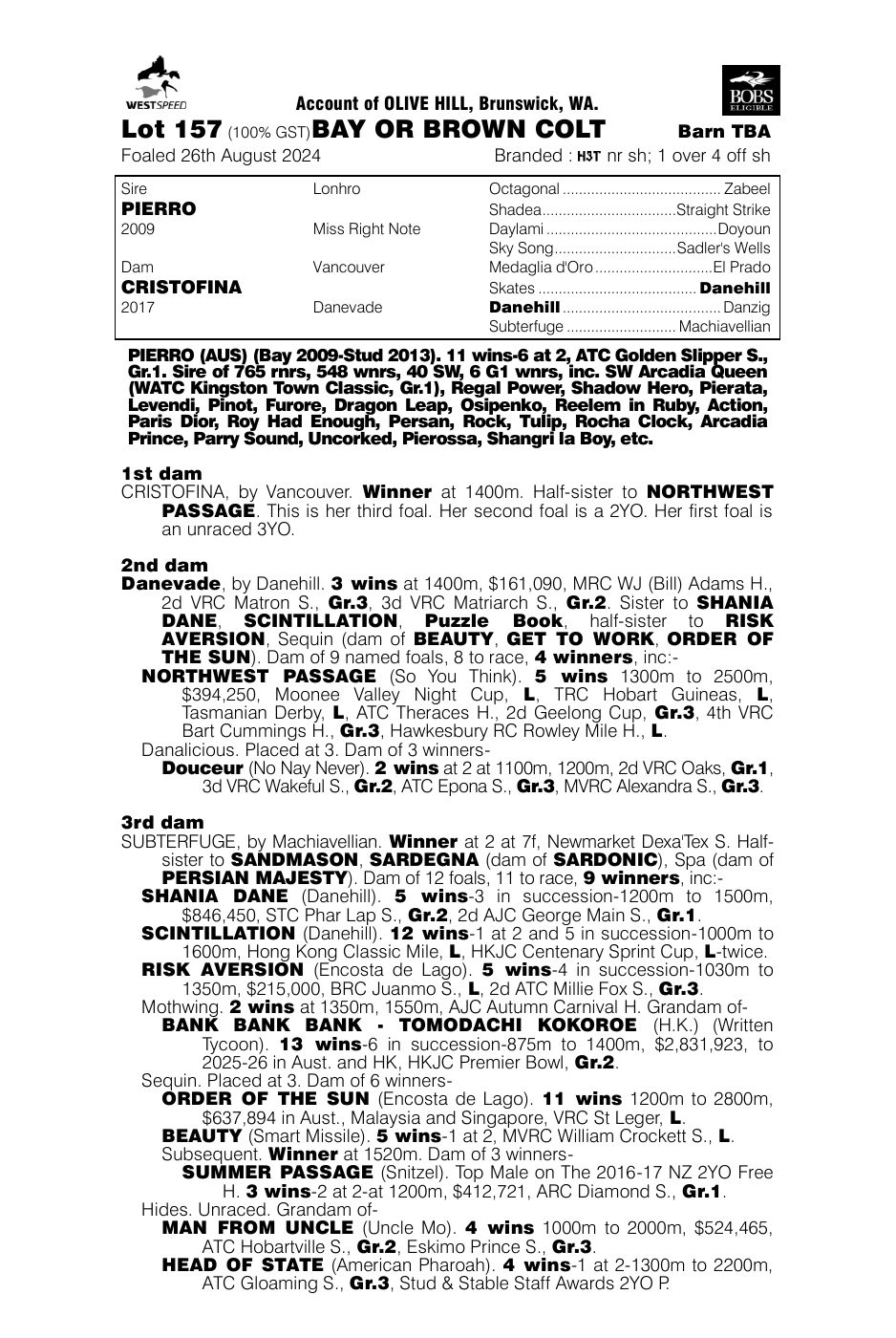 Pedigree - Lot 157