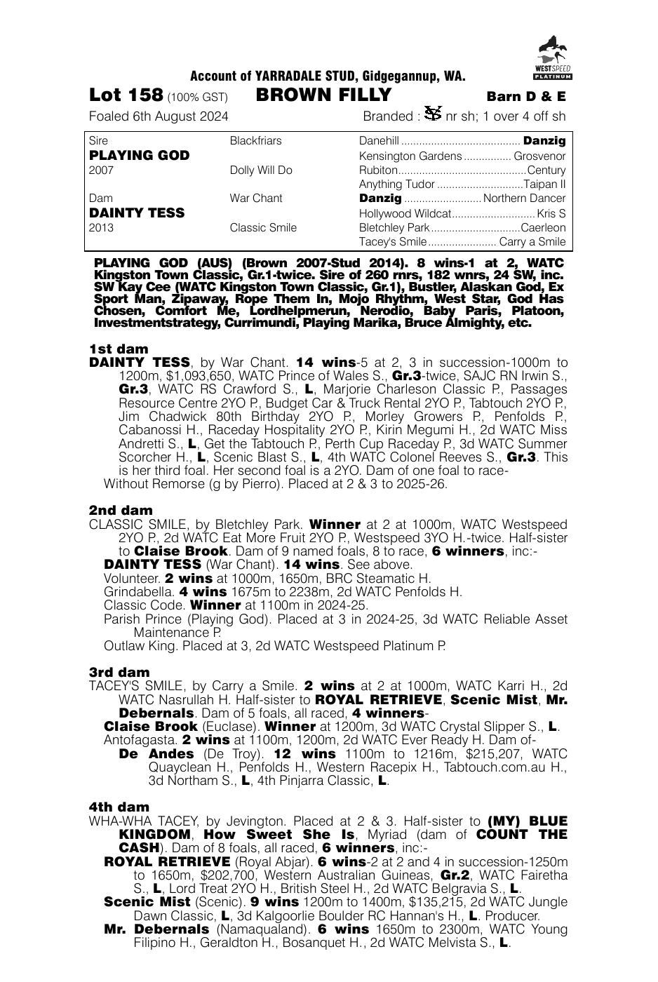 Pedigree - Lot 158