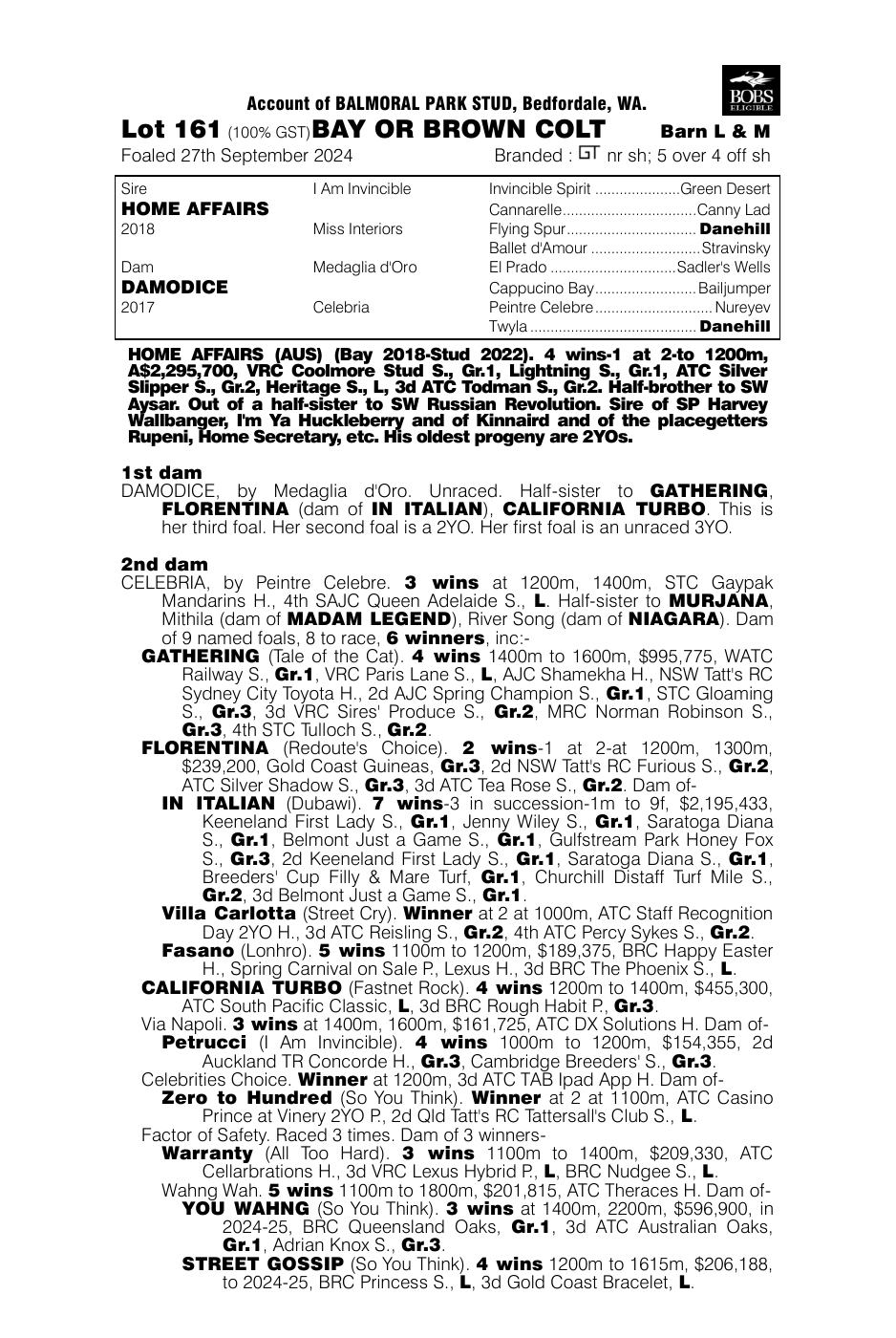 Pedigree - Lot 161