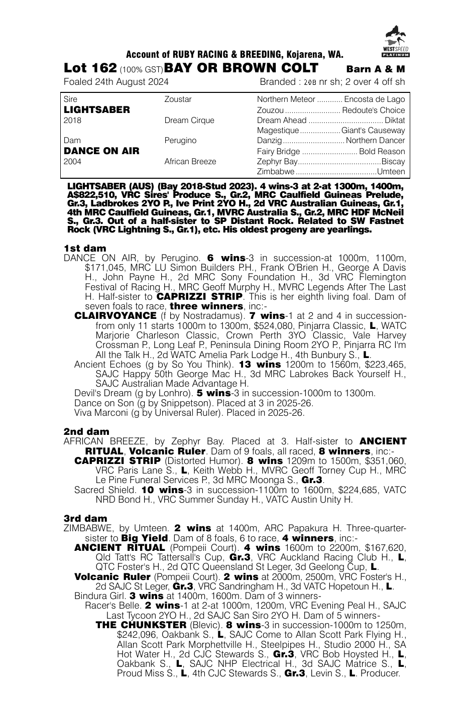 Pedigree - Lot 162
