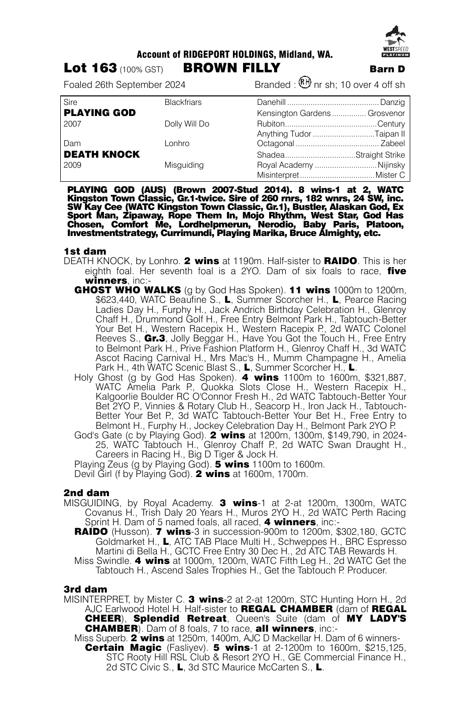 Pedigree - Lot 163