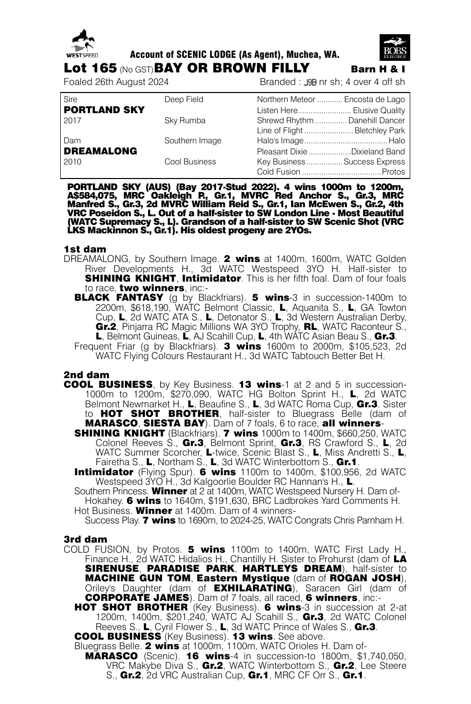 Pedigree - Lot 165