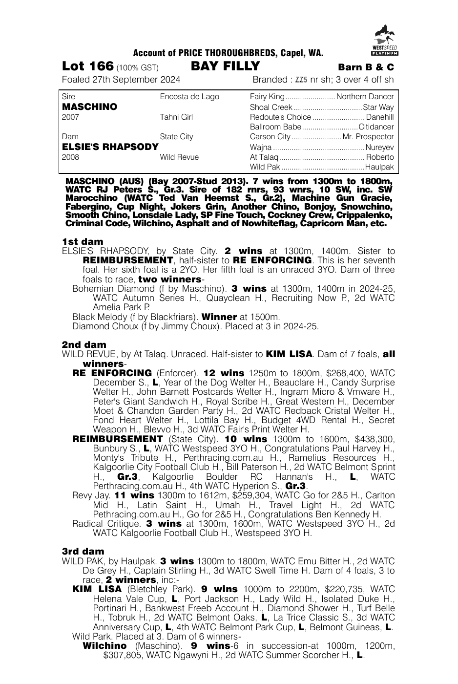 Pedigree - Lot 166