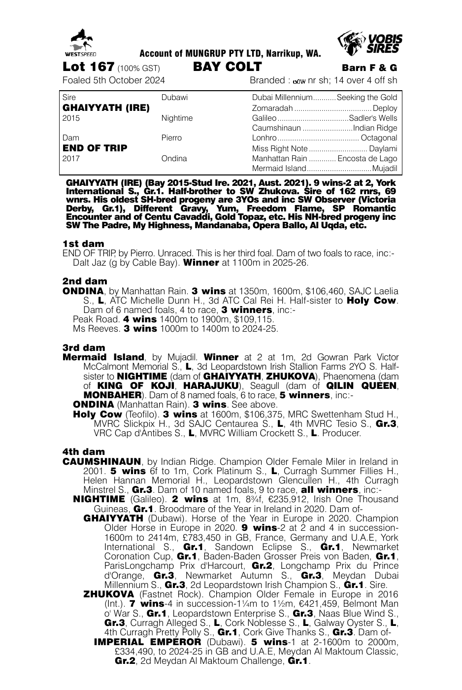 Pedigree - Lot 167