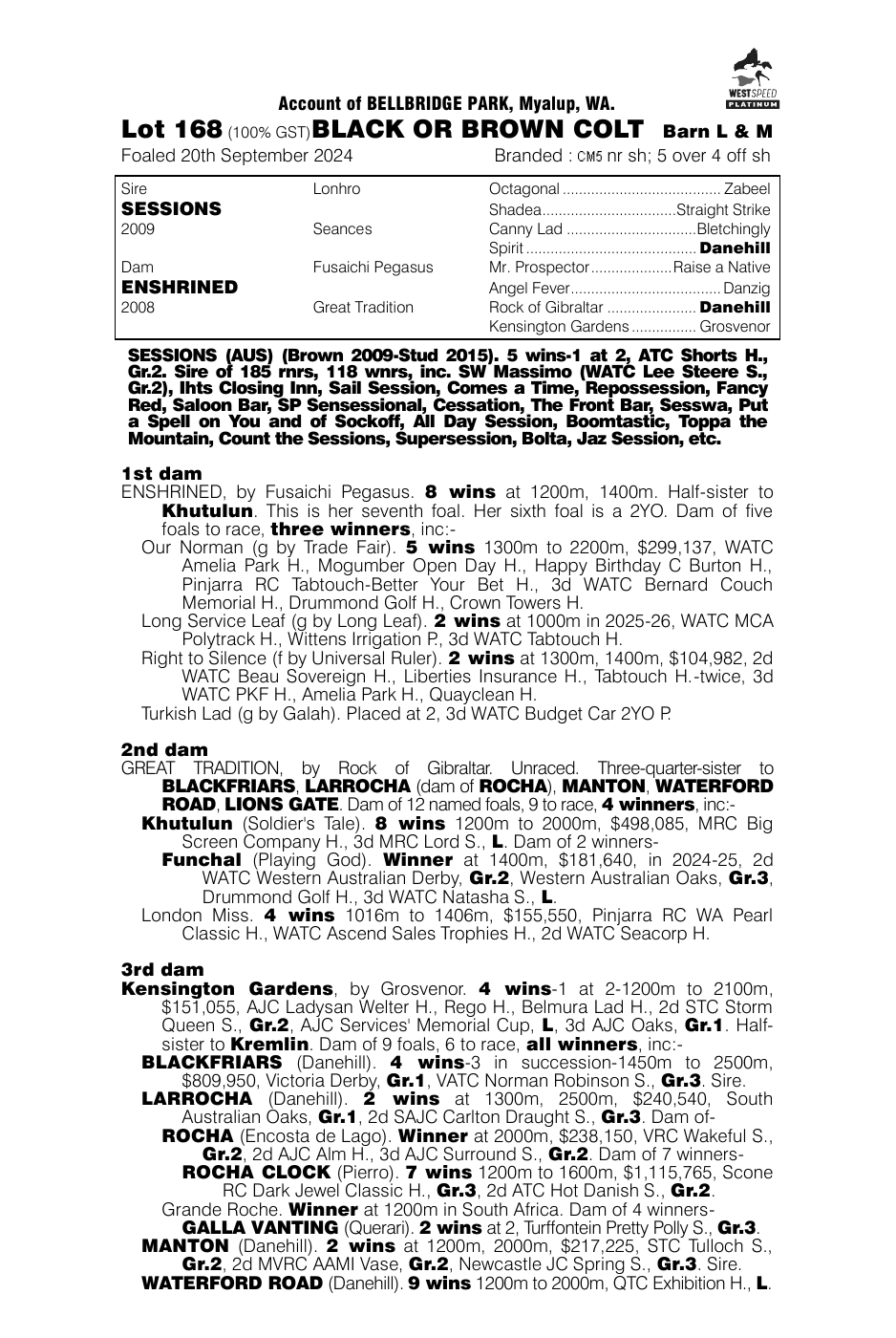 Pedigree - Lot 168