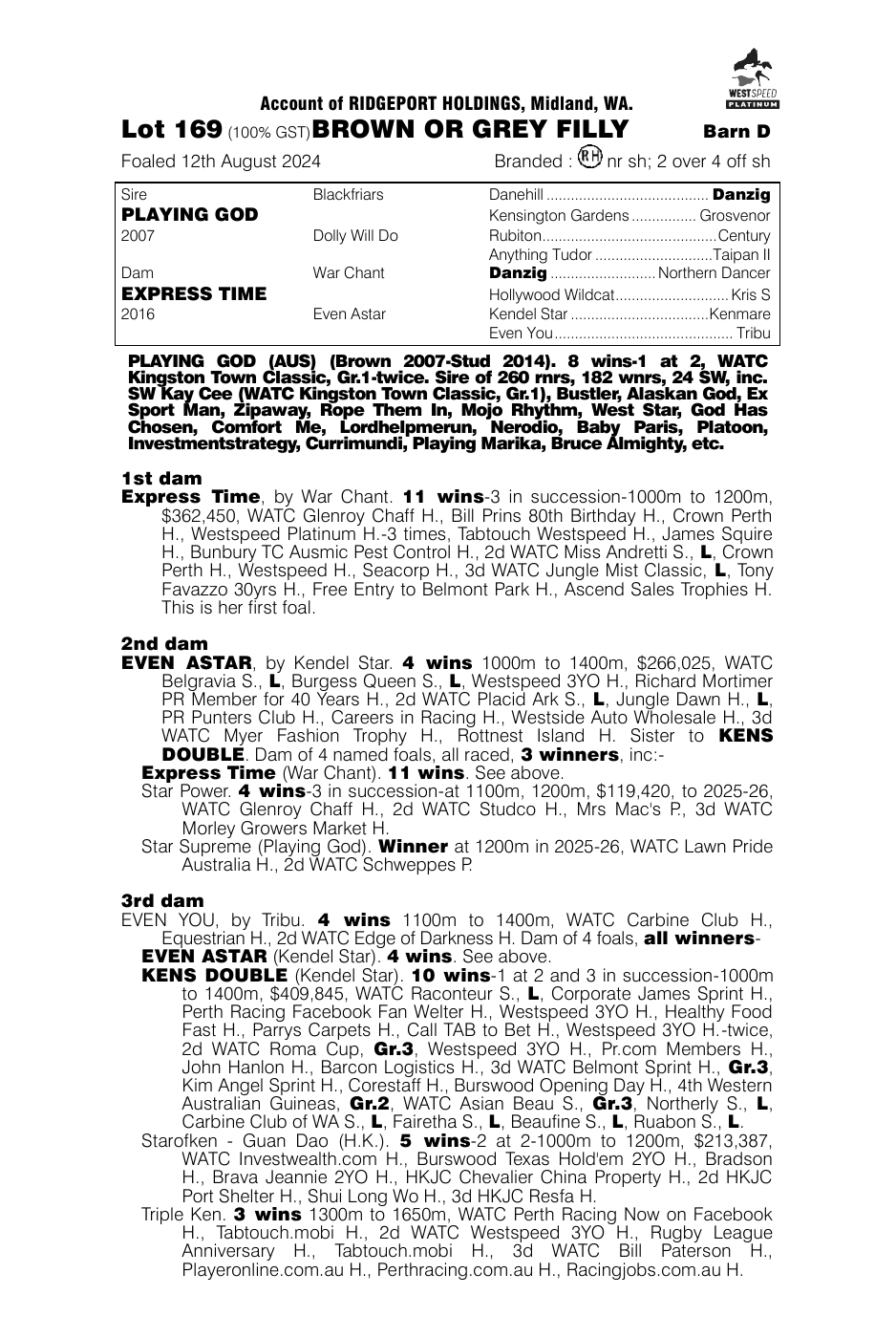 Pedigree - Lot 169