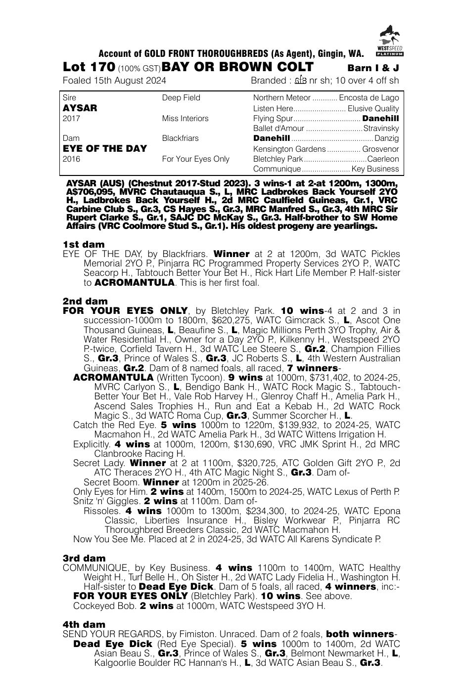 Pedigree - Lot 170