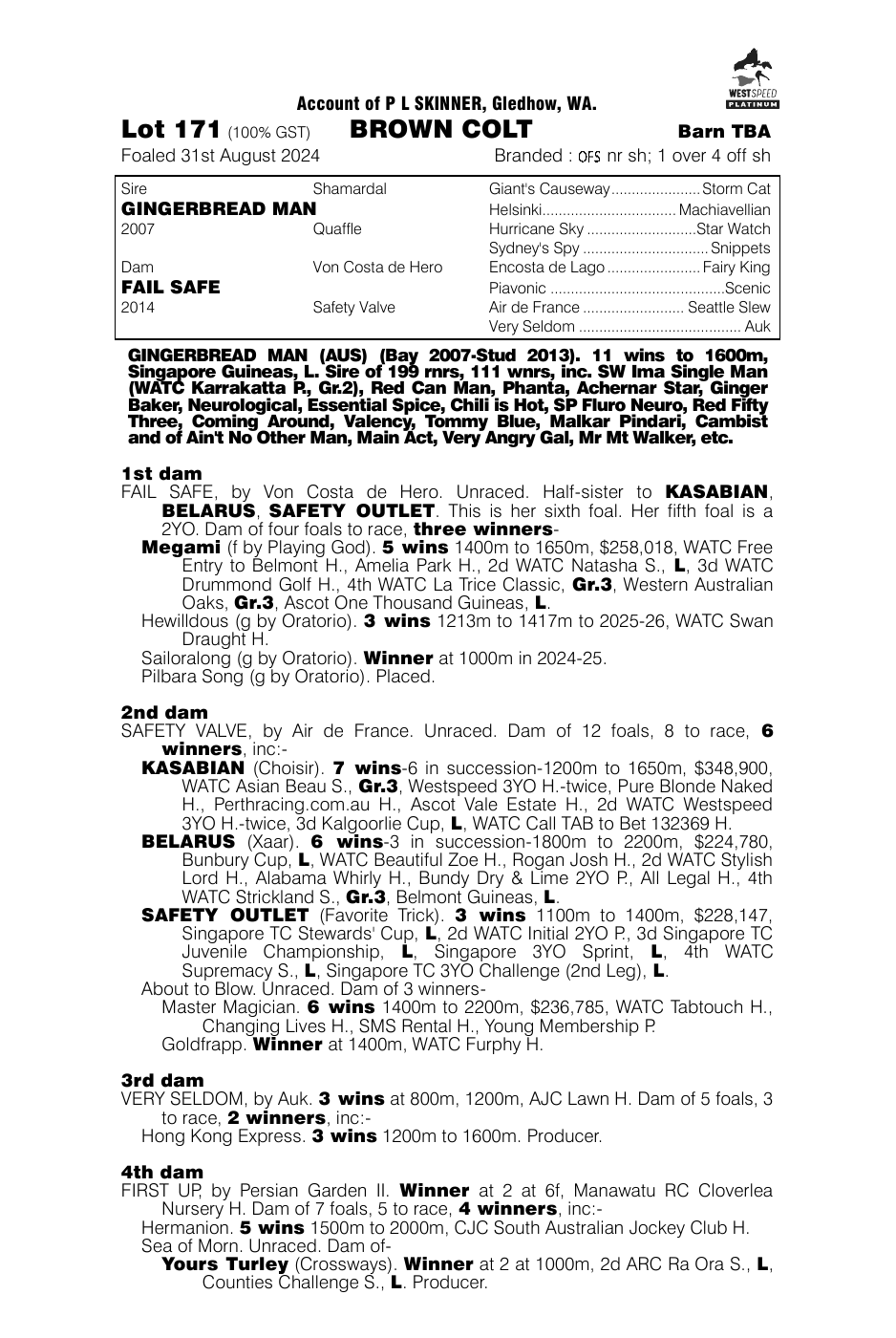 Pedigree - Lot 171