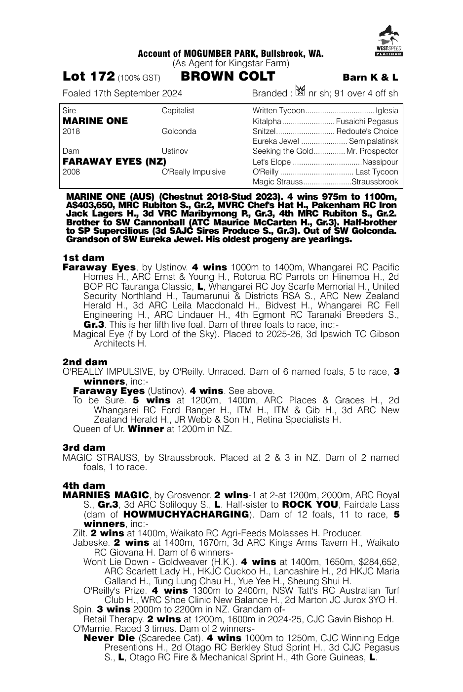 Pedigree - Lot 172