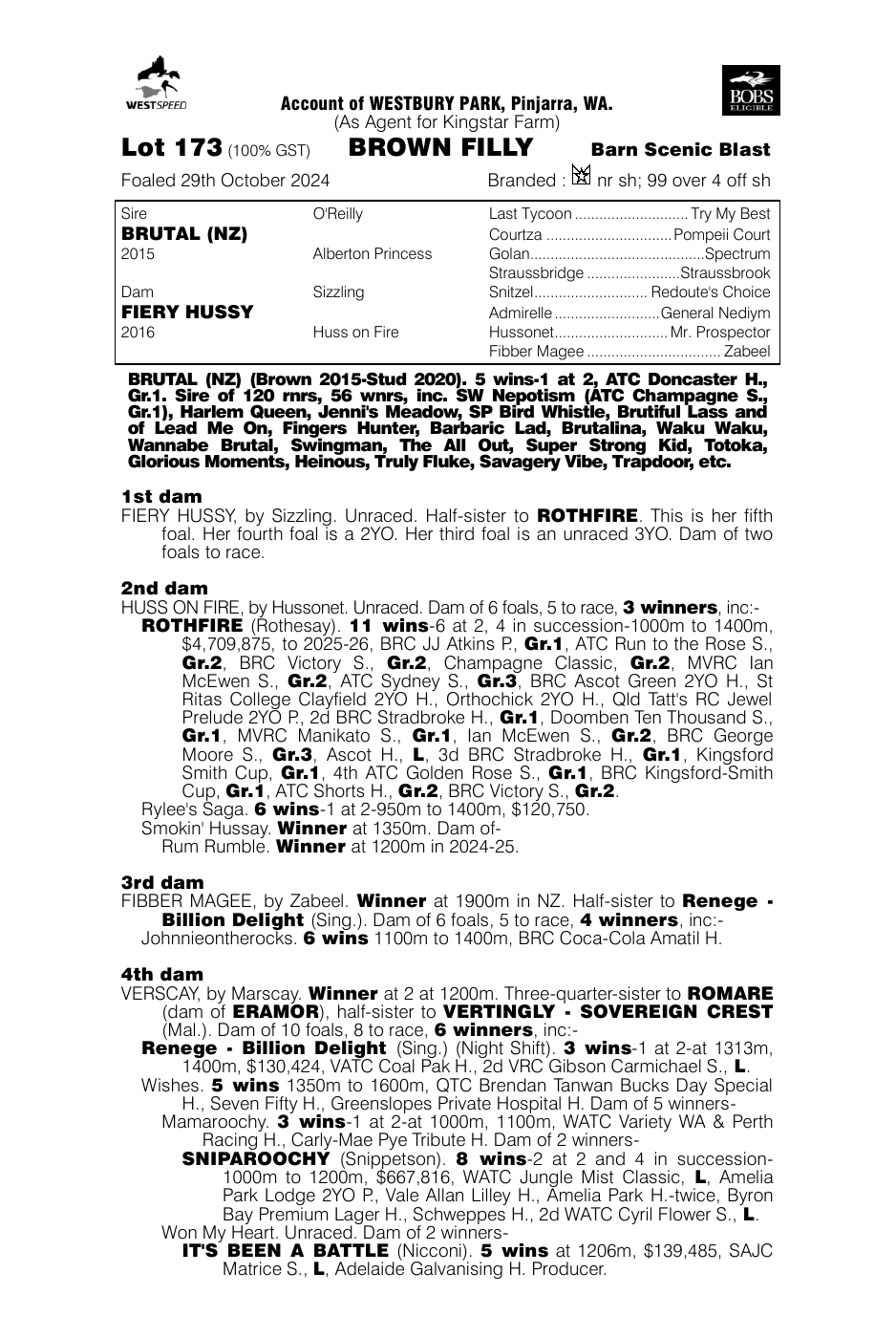 Pedigree - Lot 173